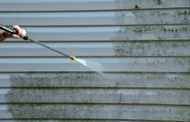 Best Roof Cleaning and Mildew Removal in Marion, IL
